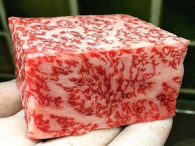 Bò Kobe