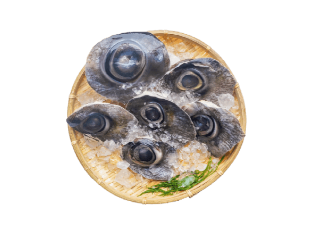 Mắt cá ngừ đại dương - Đặc sản Phú Yên