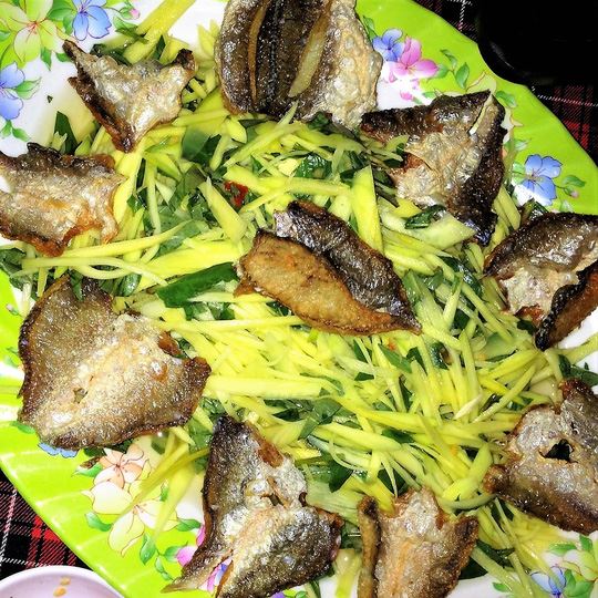 Khô cá đù một nắng