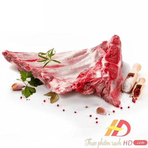 SƯỜN NON NGUYÊN TẢNG HEO T Y BAN NHA