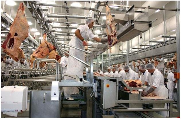 Quy trình nhập khẩu thưc phẩm an toàn 