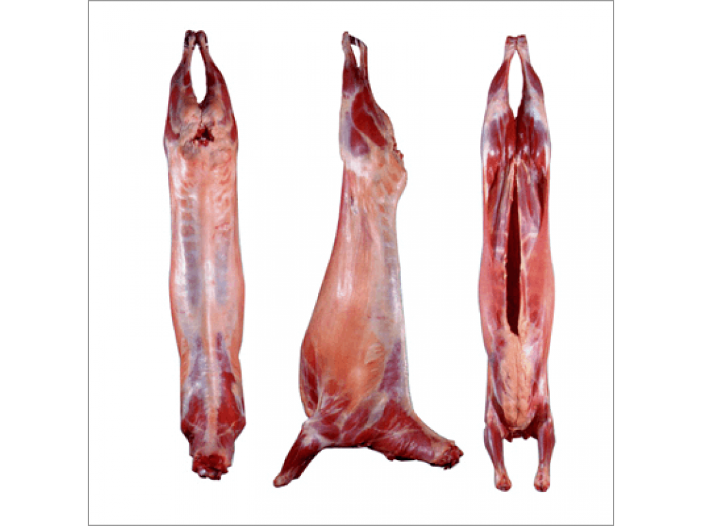 Thịt Dê Úc nguyên con làm sạch cho món ngon nức tiếng