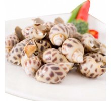 Ốc Hương Nuôi (30-50)