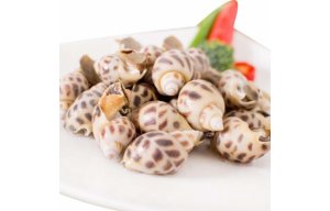 Ốc Hương Nuôi (30-50)