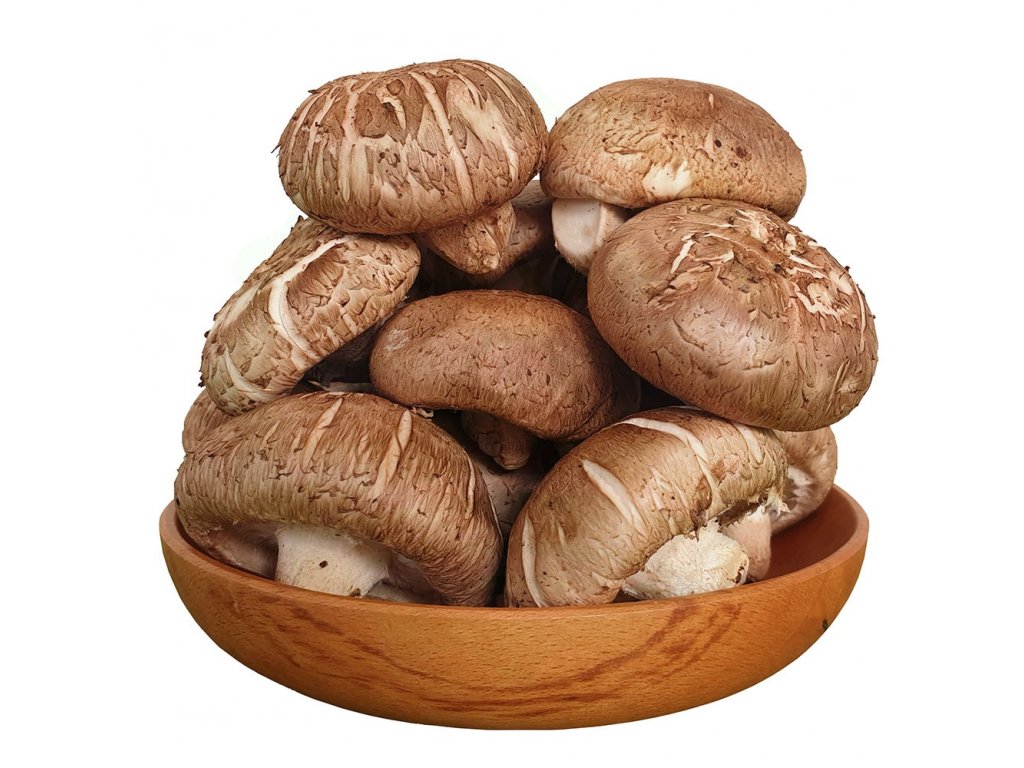 Nấm Đông Cô(nấm hương)