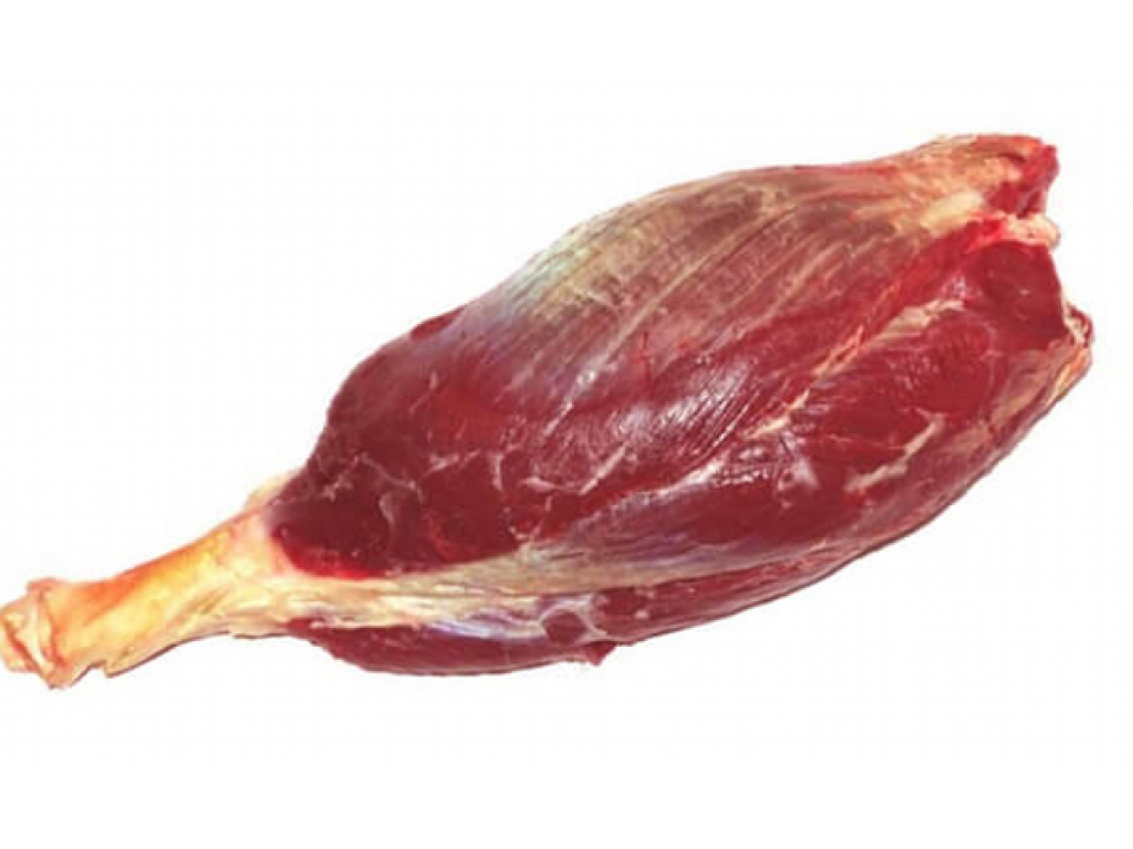 Bắp Trâu Ấn Độ Kasila