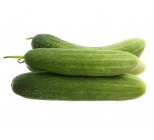 Dưa Leo