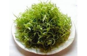 Rau Muống Bào