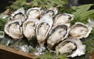 Cách Chế Biến Hàu Sống Nhật Bản Thành Món Sashimi Ngon Tuyệt