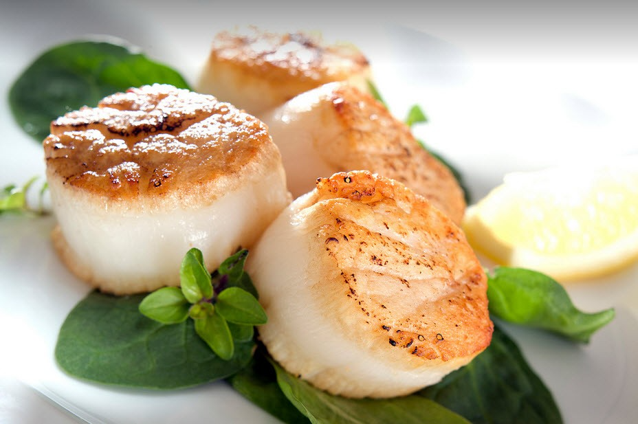 còi sò điệp, hải sản tươi, hải sản giá tốt, còi sò điệp nhật, hải sản ngon, còi sò điệp nhập