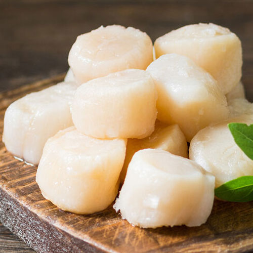 còi sò điệp, hải sản tươi, hải sản giá tốt, còi sò điệp nhật, hải sản ngon, còi sò điệp nhập