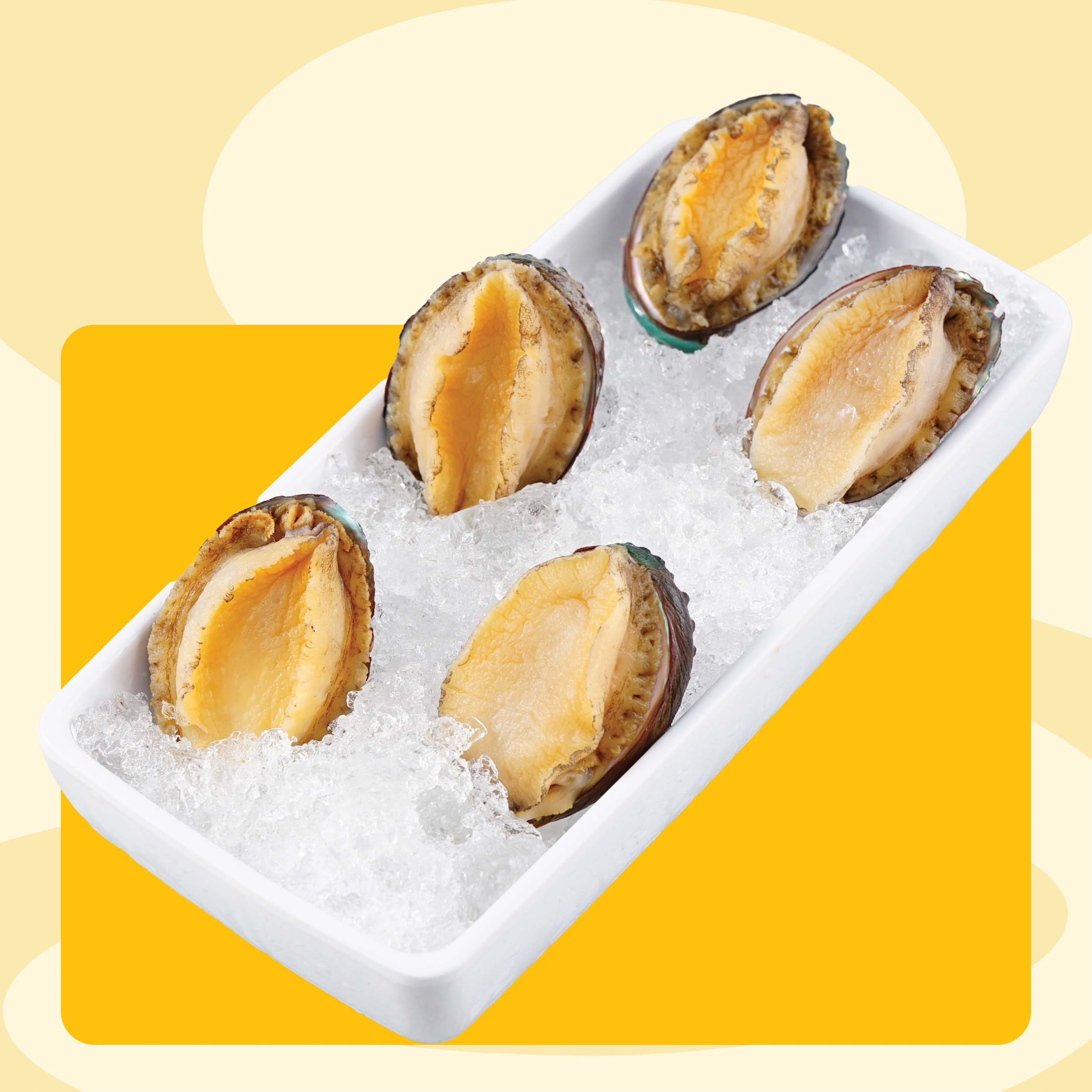 BÀO NGƯ TƯƠI SỐNG, BÀO NGƯ NHẬP KHẨU, THỰC PHẨM TỐT CHO SỨC KHỎE