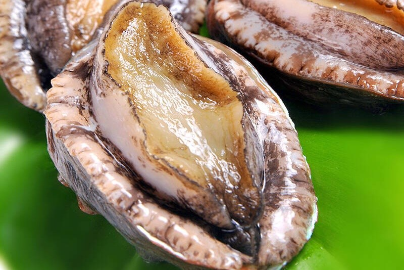 BÀO NGƯ TƯƠI SỐNG, BÀO NGƯ NHẬP KHẨU, THỰC PHẨM TỐT CHO SỨC KHỎE