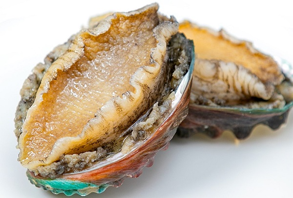 BÀO NGƯ TƯƠI SỐNG, BÀO NGƯ NHẬP KHẨU, THỰC PHẨM TỐT CHO SỨC KHỎE