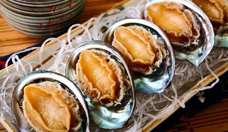 BÀO NGƯ TƯƠI SỐNG, BÀO NGƯ NHẬP KHẨU, THỰC PHẨM TỐT CHO SỨC KHỎE