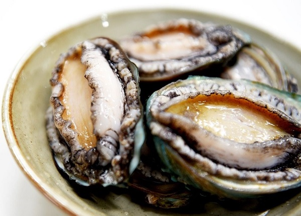 BÀO NGƯ TƯƠI SỐNG, BÀO NGƯ NHẬP KHẨU, THỰC PHẨM TỐT CHO SỨC KHỎE