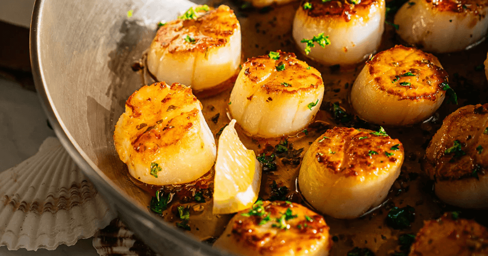 Còi sò điệp, hải sản, bảo quản hải sản, món ngon với còi sò điệp, sò điệp ngon, sò điệp giá tốt