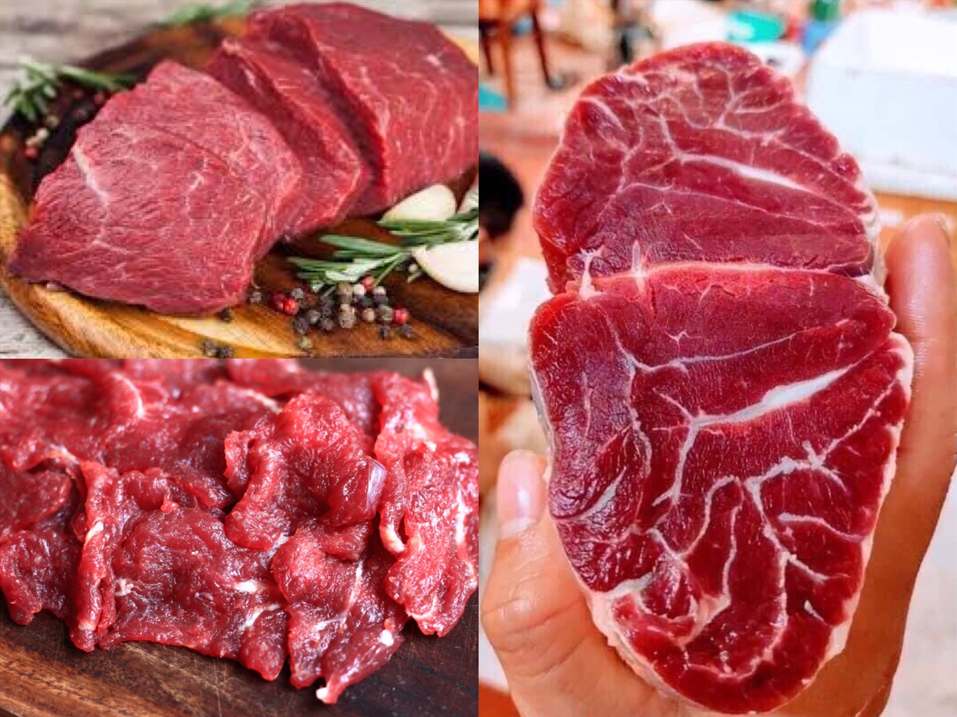 bắp bò